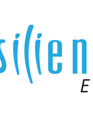 רזיליאנס E-18
